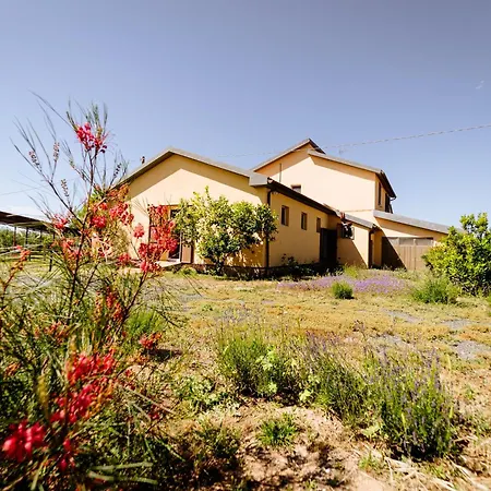 Agriturismo Bio Podere 109 - Wine&Food-2